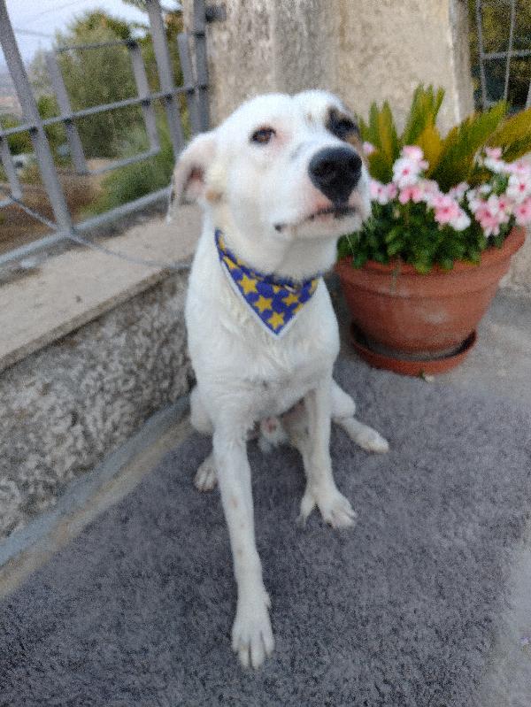 Ciao a tutti da Robin (Catania) Foto 6